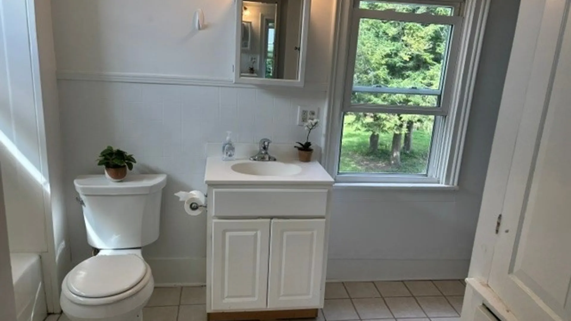Property at 201 Clinton Street, Manlius, NY 13066 22