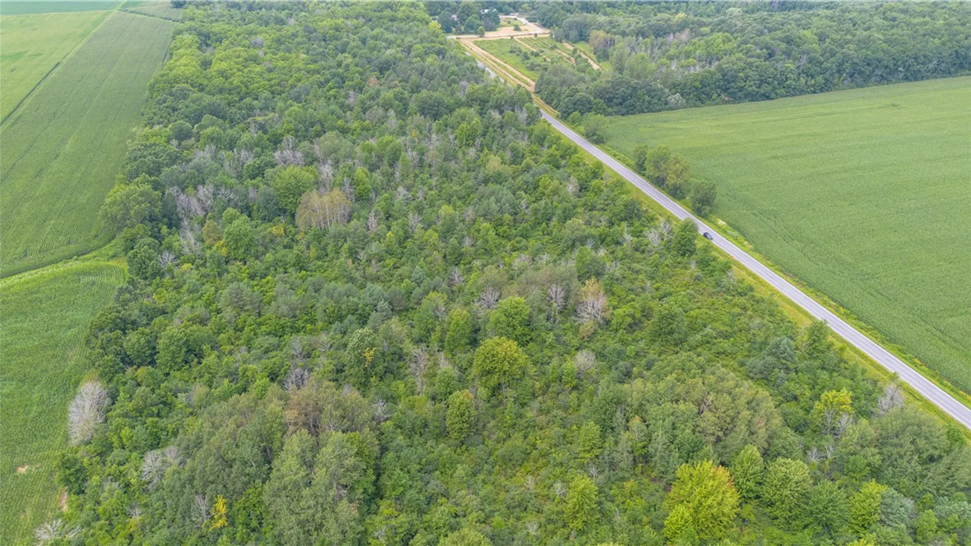Property at 0 Ogden Road, Varick, NY 13148 8
