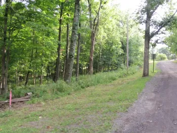 Property at 0 W Enfield Center Road, Enfield, NY 14850