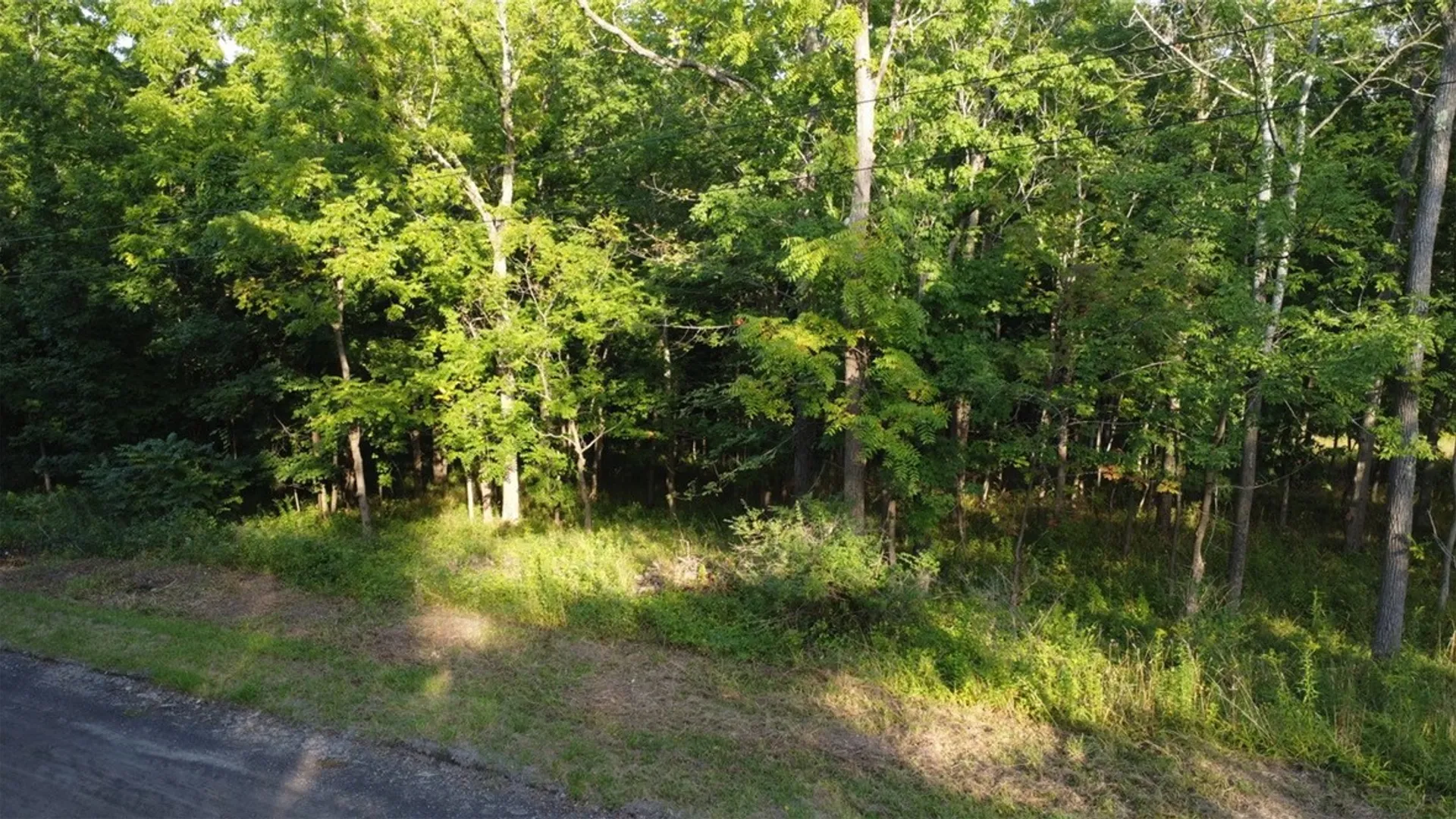 Property at 0 W Enfield Center Road, Enfield, NY 14850 3