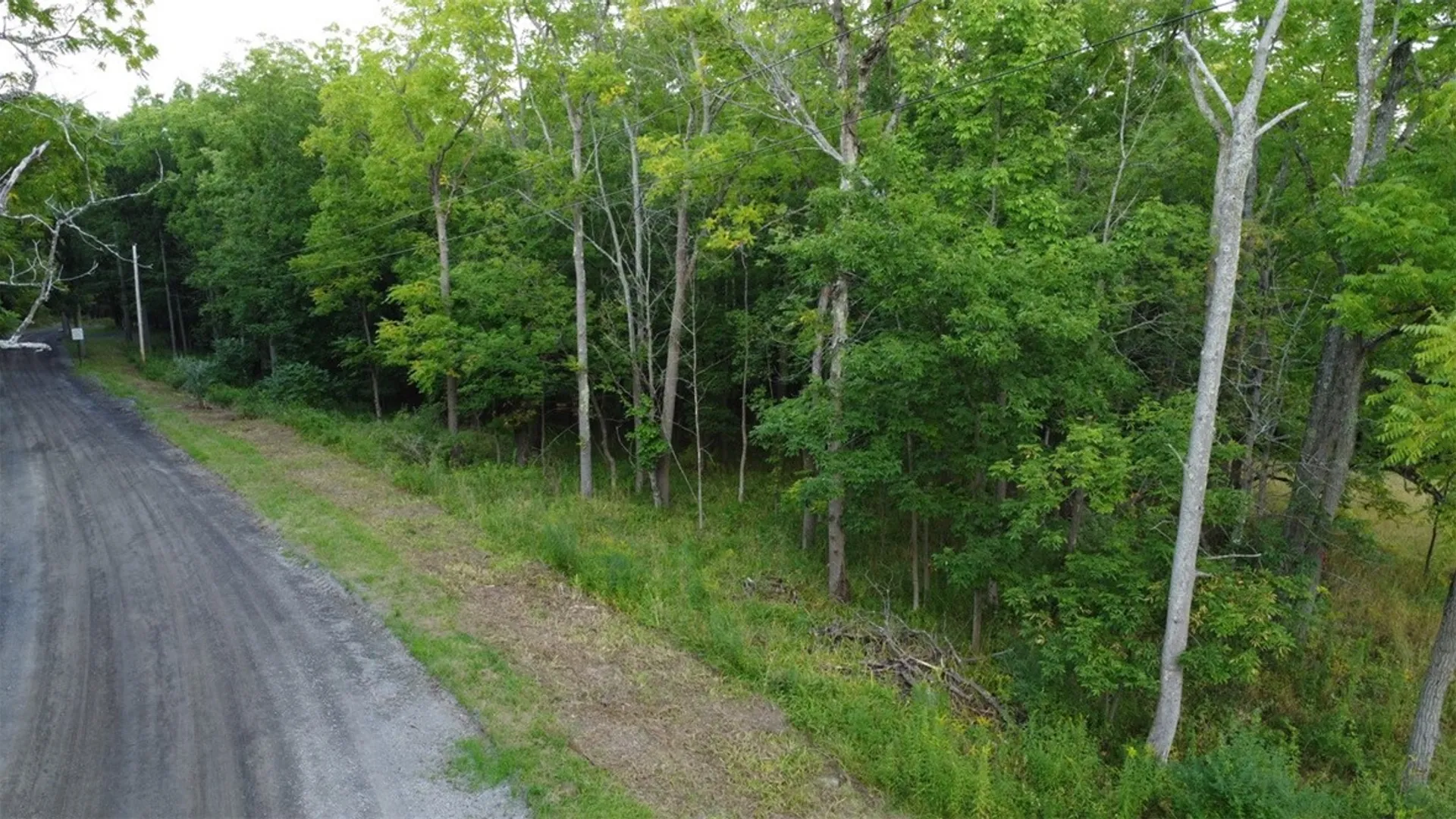 Property at 0 W Enfield Center Road, Enfield, NY 14850 4