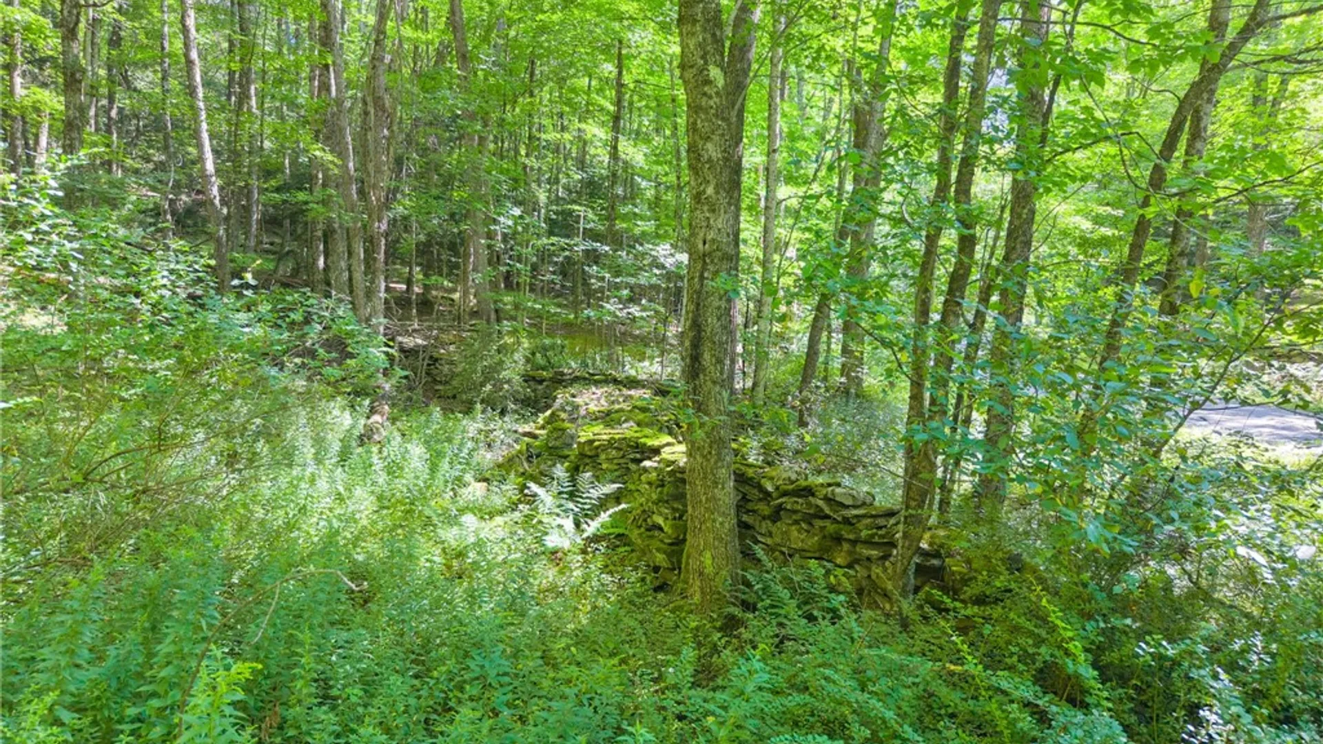 Property at 201 Tuttle Road, Jefferson, NY 12093 23