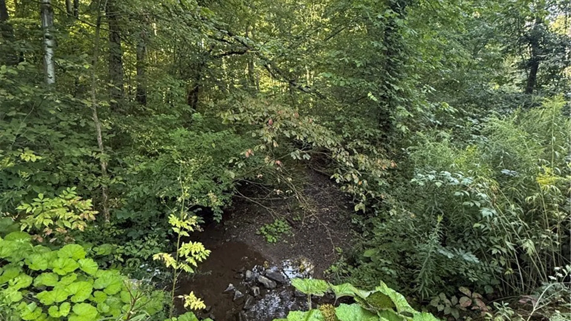 Property at 12283 Northeast Road, Conowingo, NY 14726 3