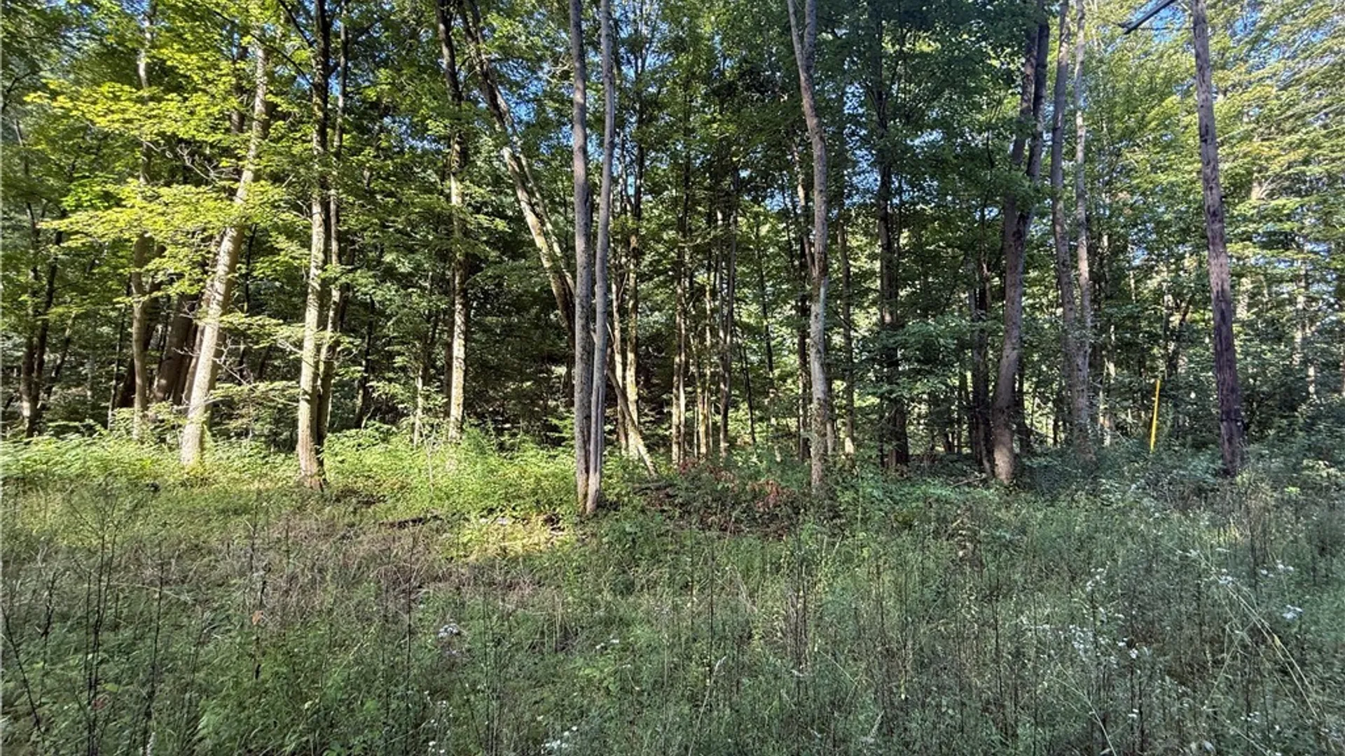 Property at 12283 Northeast Road, Conowingo, NY 14726 4