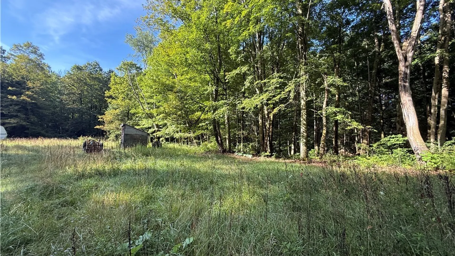 Property at 12283 Northeast Road, Conowingo, NY 14726 5