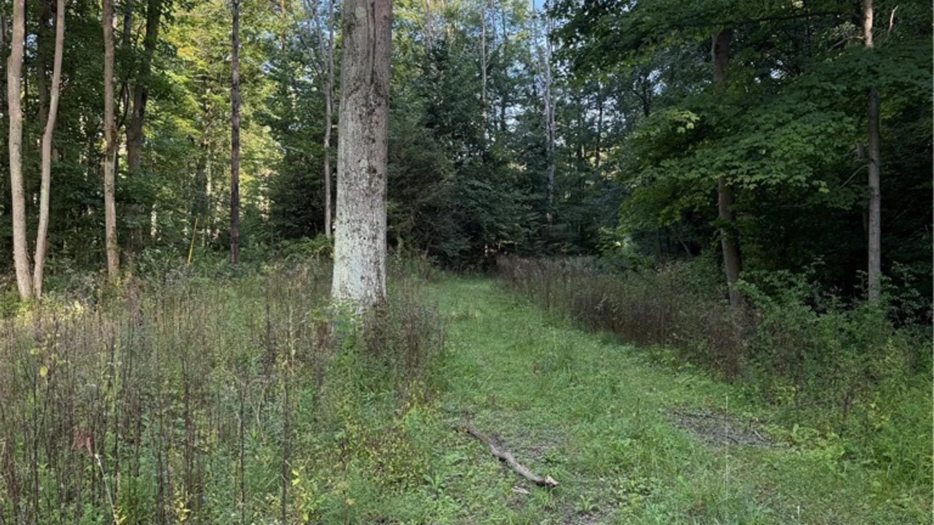 Property at 12283 Northeast Road, Conowingo, NY 14726 11