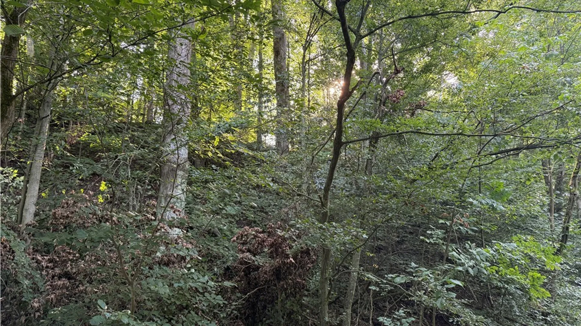 Property at 12283 Northeast Road, Conowingo, NY 14726 12