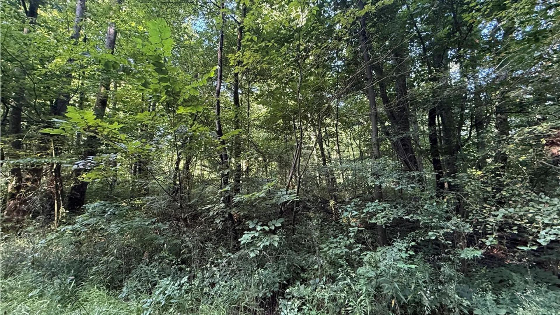 Property at 12283 Northeast Road, Conowingo, NY 14726 13
