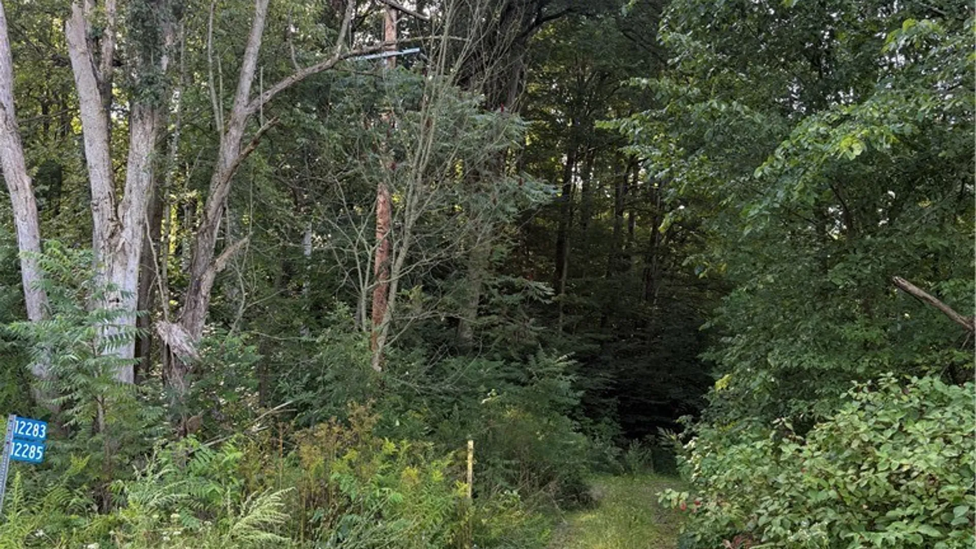 Property at 12283 Northeast Road, Conowingo, NY 14726 15