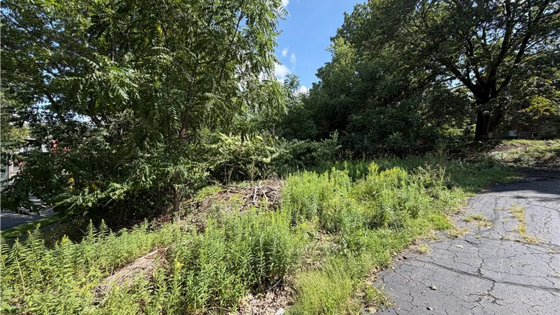 Property at Washington Street, Jamestown, NY 14701 5