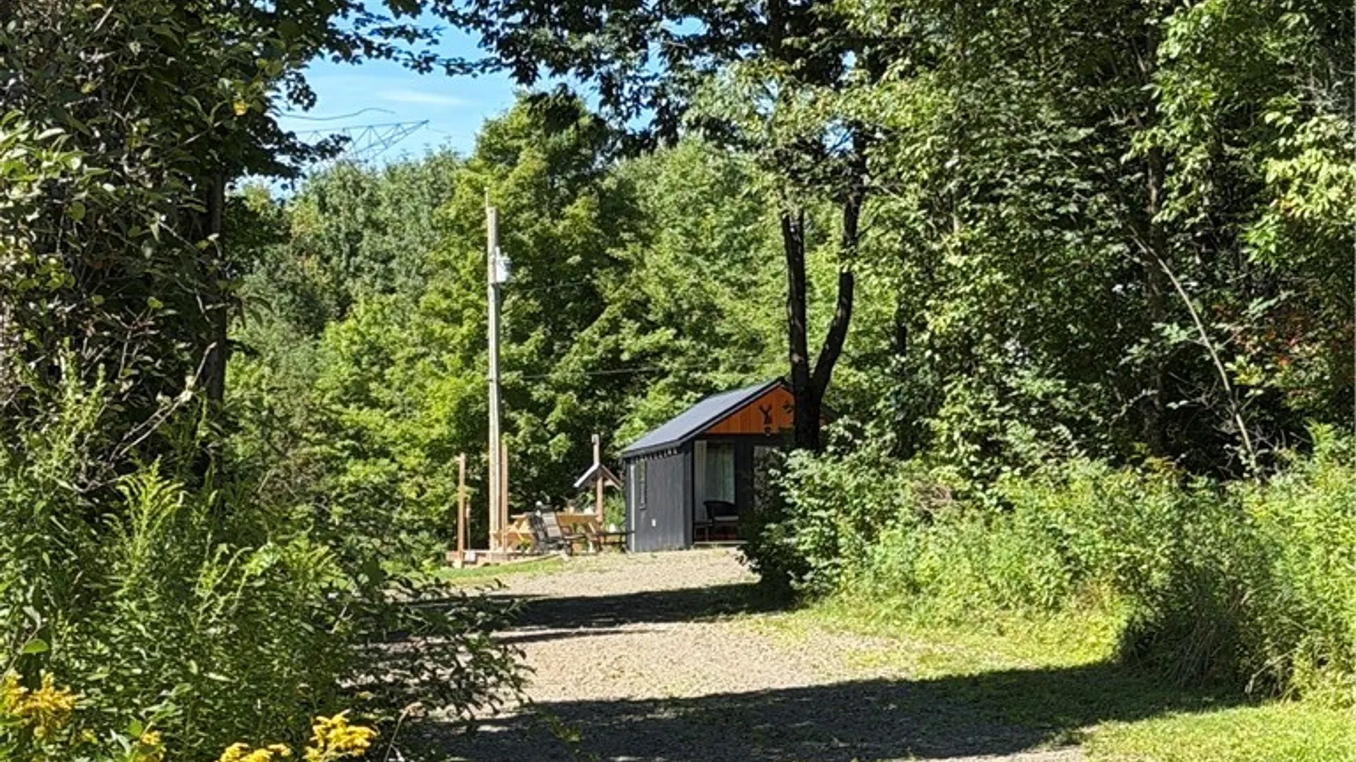 Property at 665 County Highway 14, New Lisbon, NY 13810 3