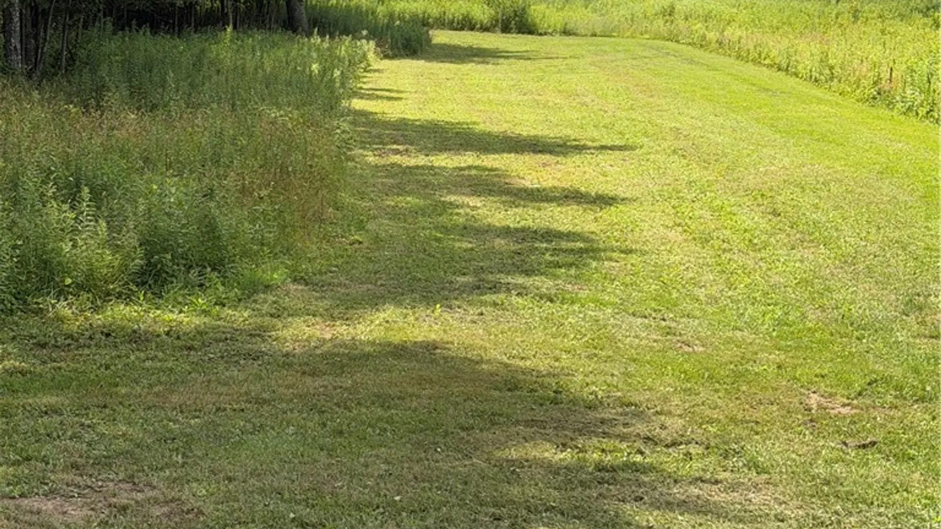 Property at 665 County Highway 14, New Lisbon, NY 13810 33