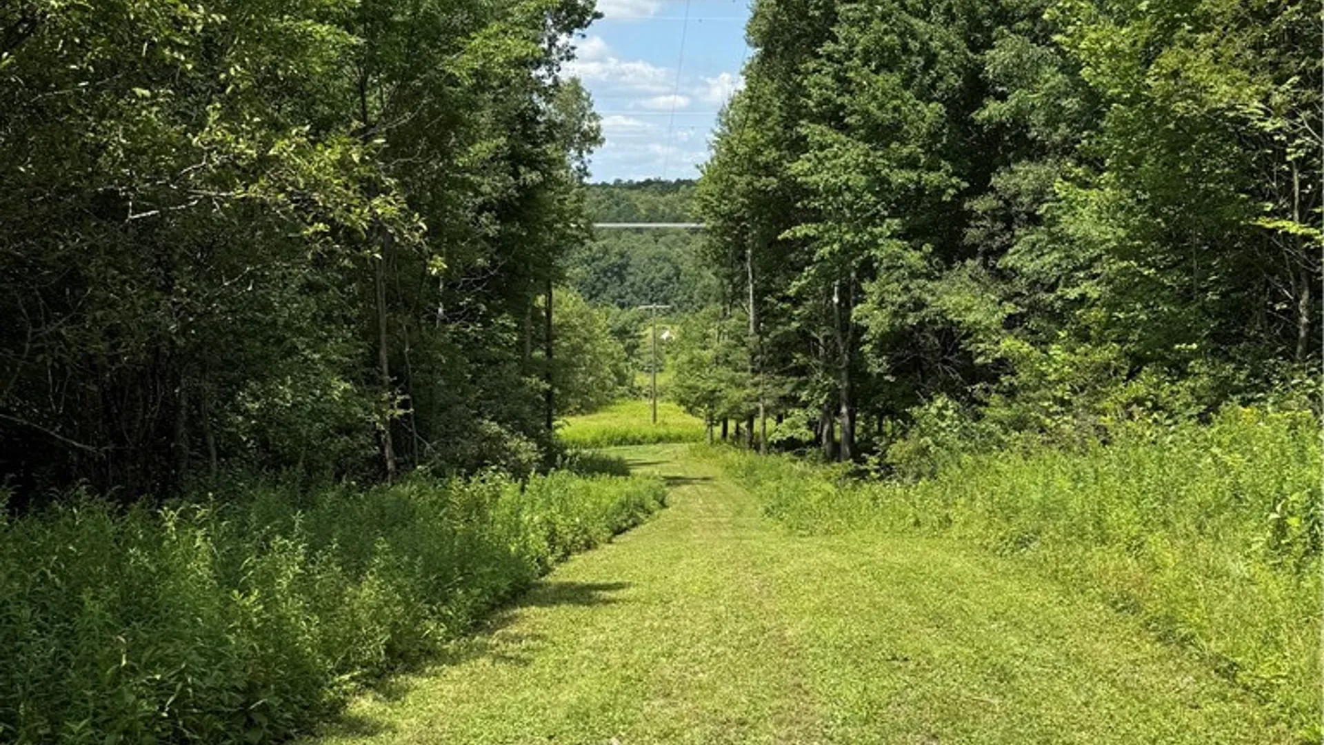 Property at 665 County Highway 14, New Lisbon, NY 13810 20