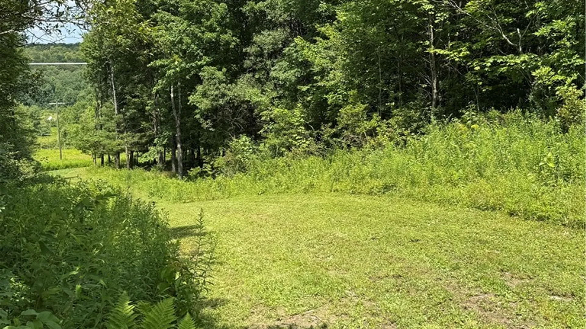 Property at 665 County Highway 14, New Lisbon, NY 13810 21
