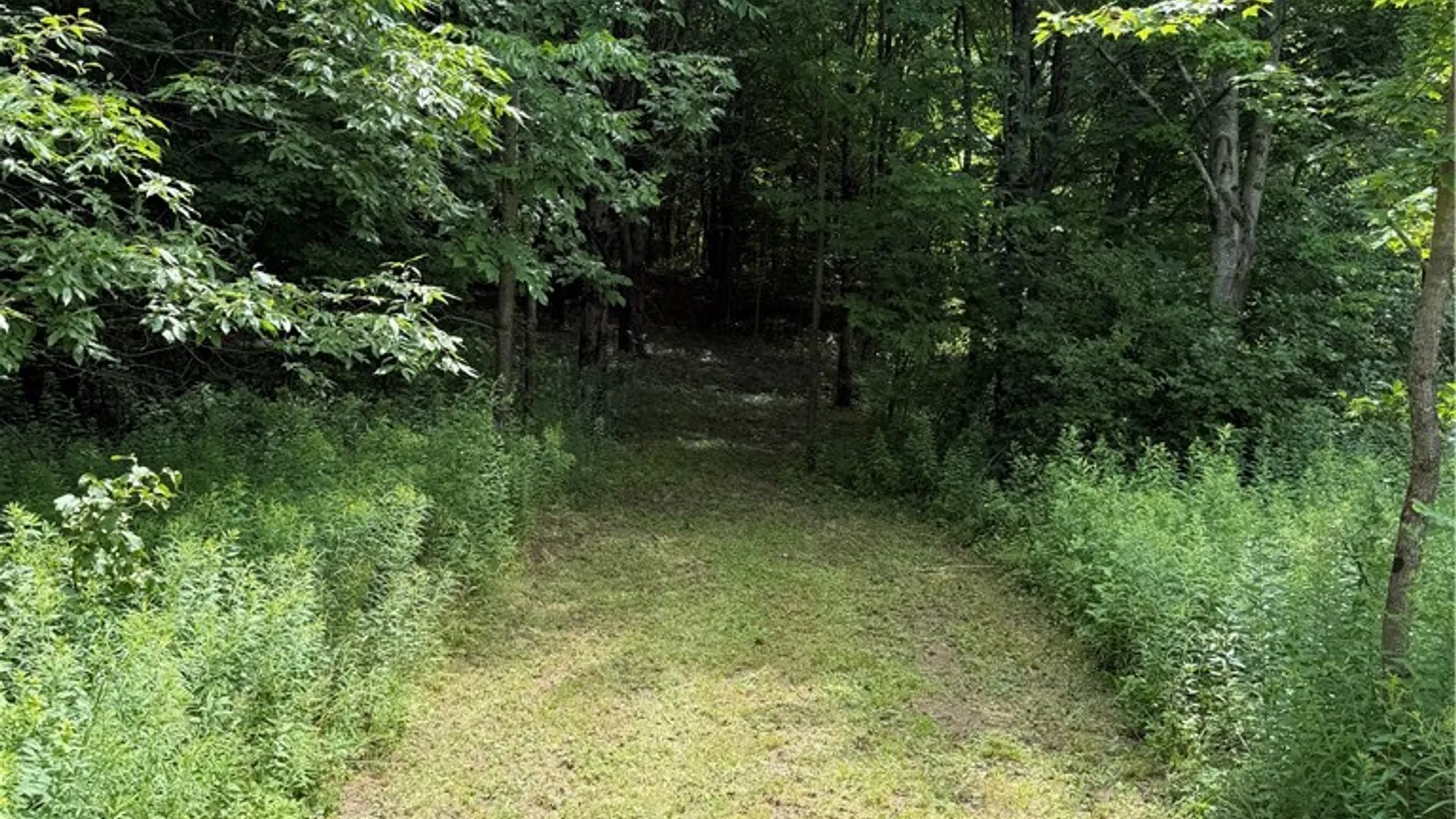 Property at 665 County Highway 14, New Lisbon, NY 13810 22