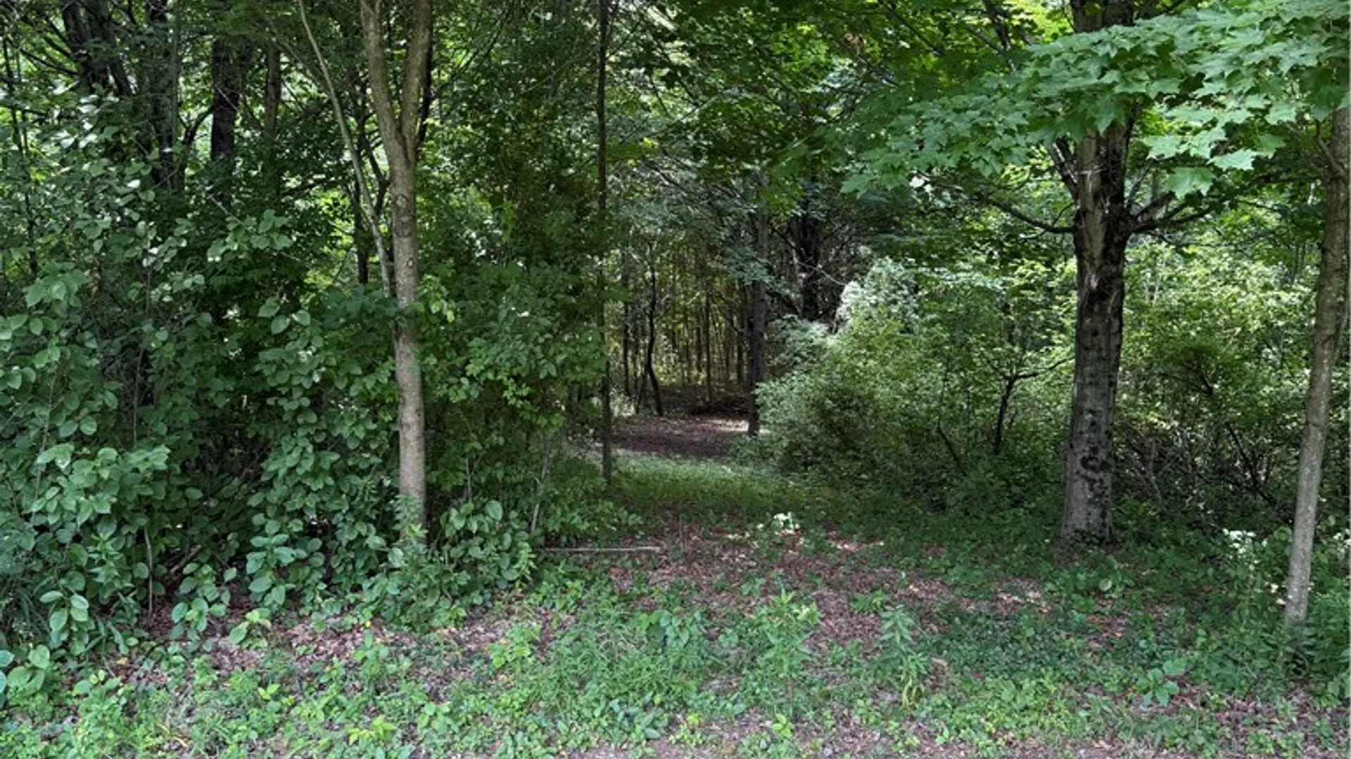 Property at 665 County Highway 14, New Lisbon, NY 13810 23