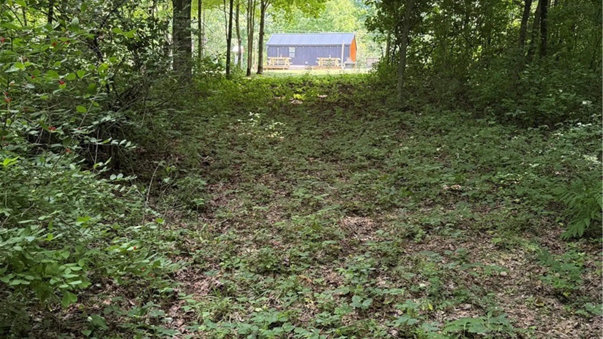 Property at 665 County Highway 14, New Lisbon, NY 13810 26