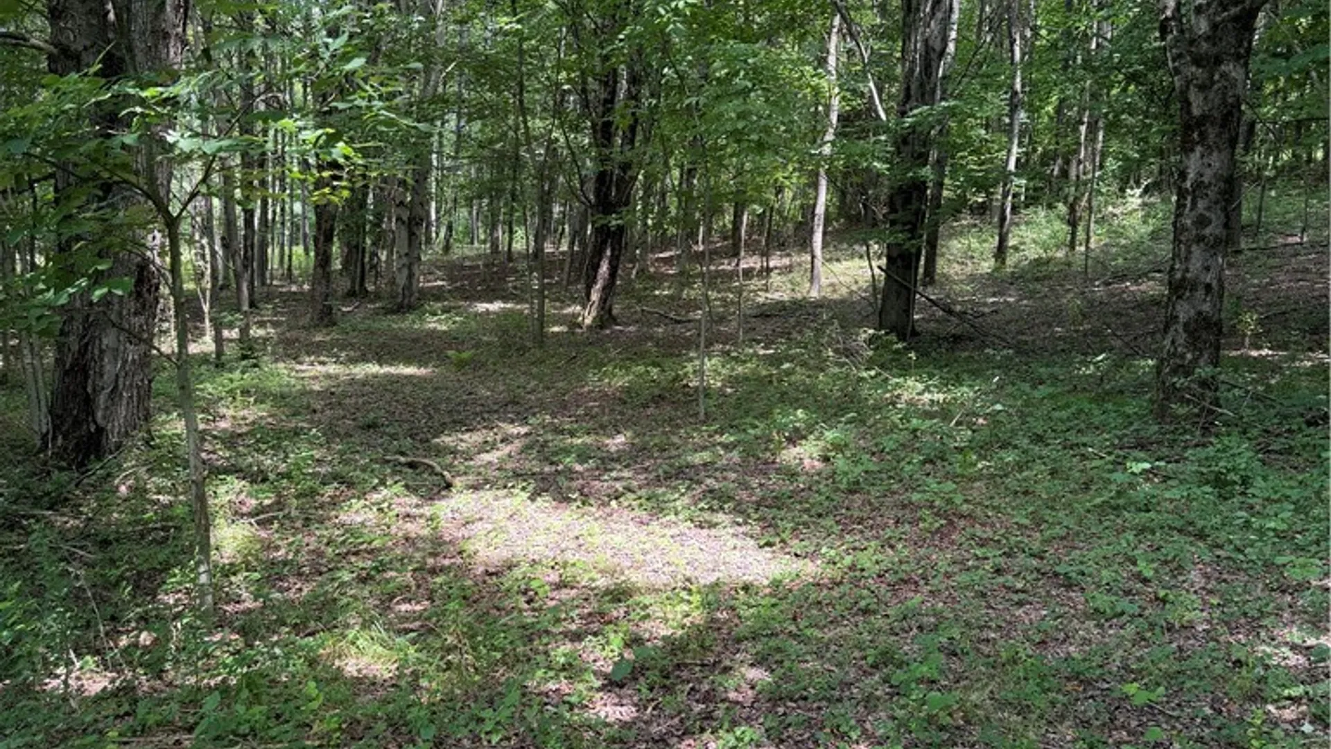 Property at 665 County Highway 14, New Lisbon, NY 13810 27
