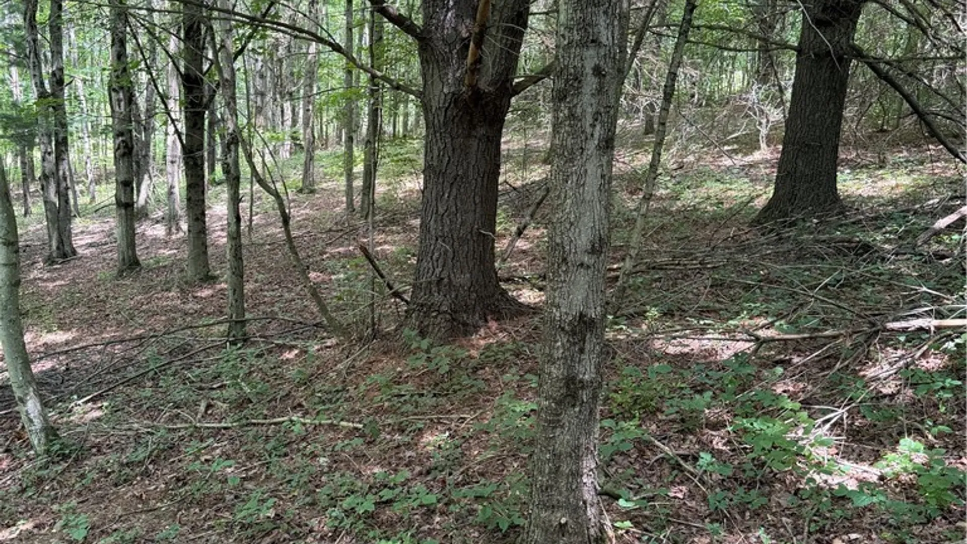 Property at 665 County Highway 14, New Lisbon, NY 13810 28