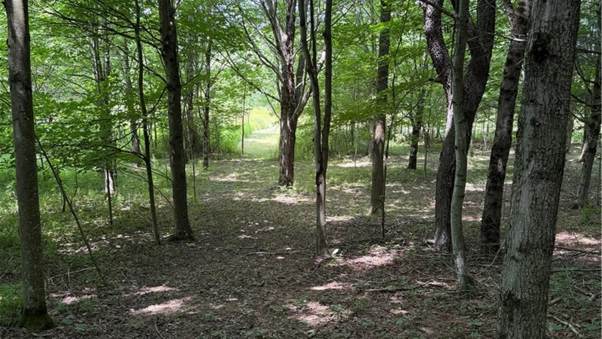 Property at 665 County Highway 14, New Lisbon, NY 13810 29