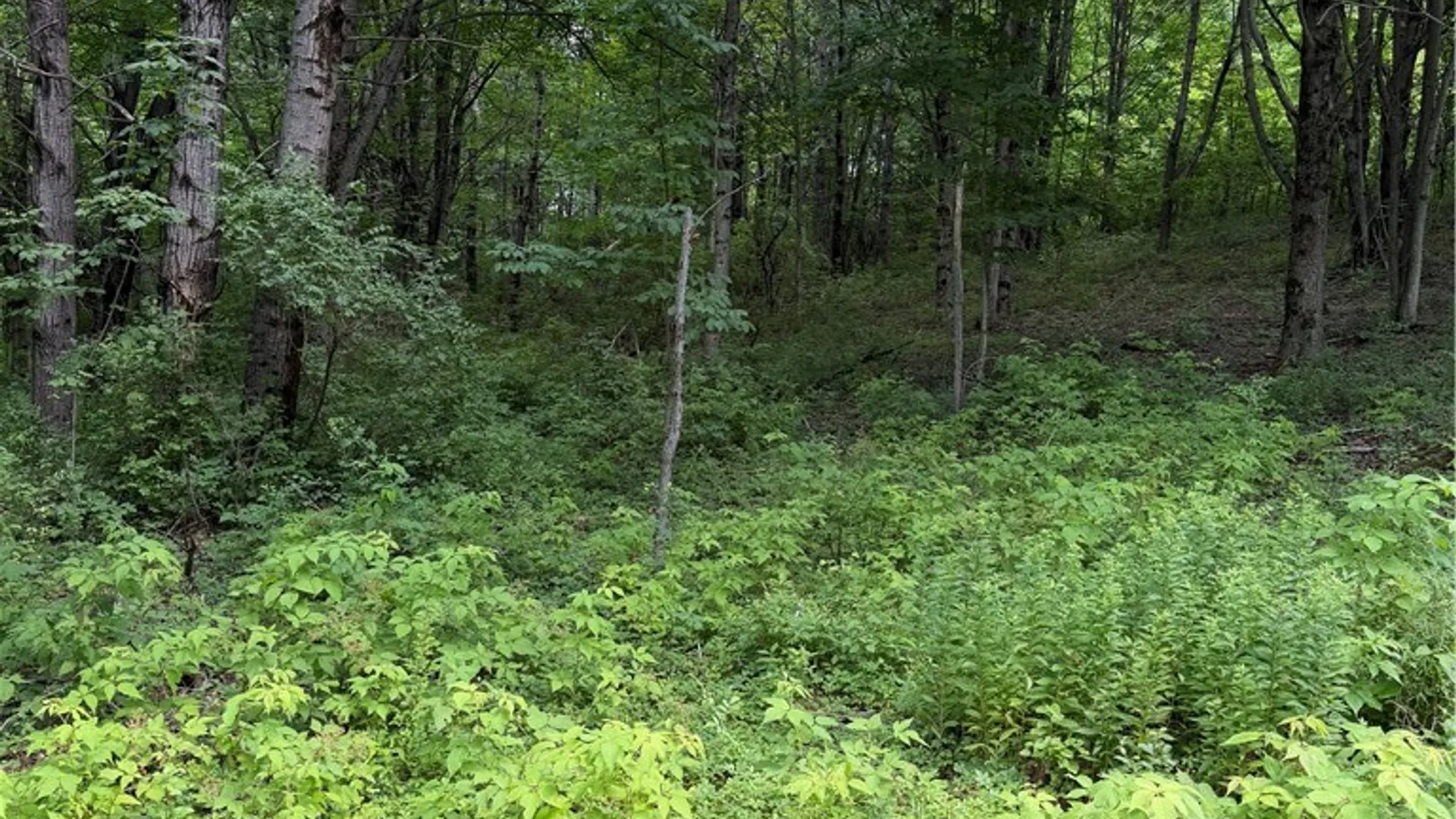 Property at 665 County Highway 14, New Lisbon, NY 13810 30
