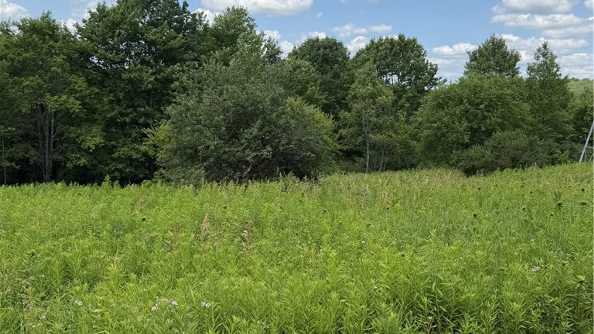 Property at 665 County Highway 14, New Lisbon, NY 13810 31