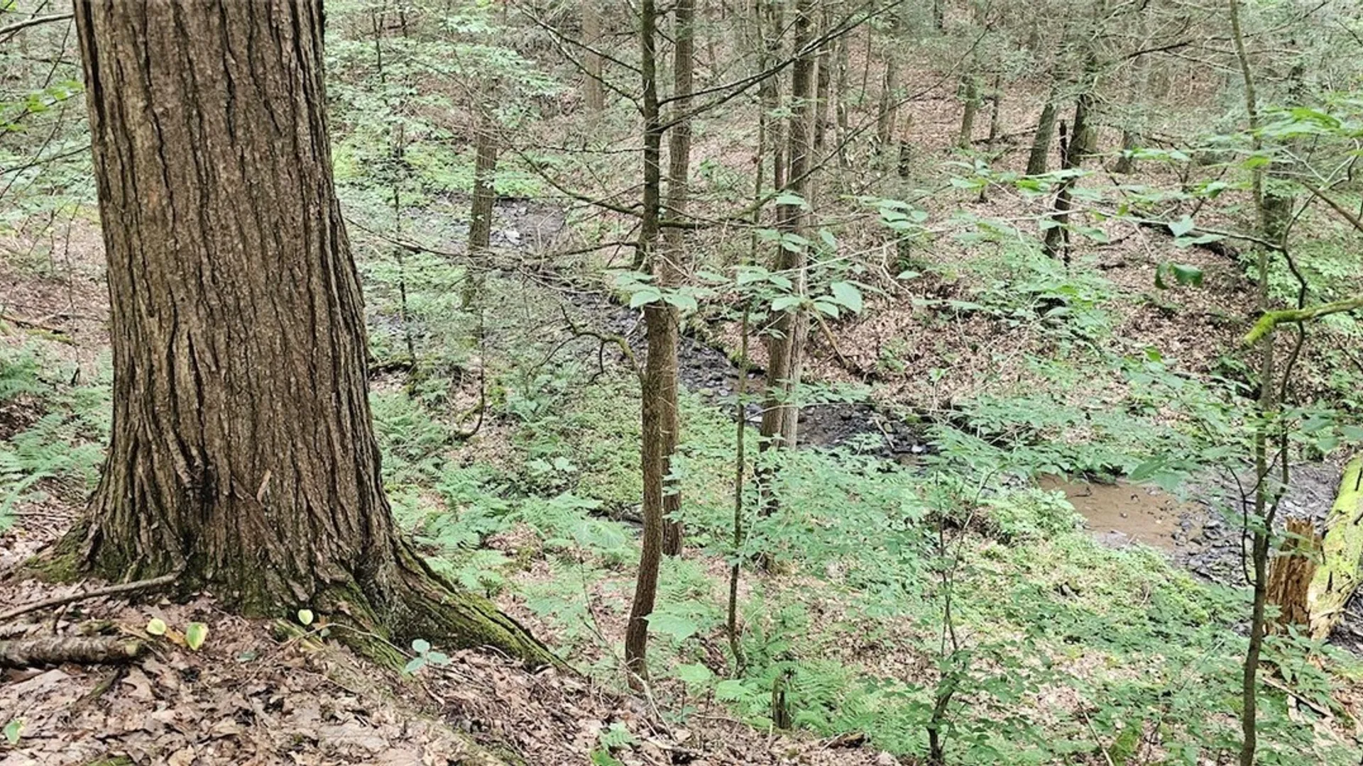 Property at Union Hill Road, Candor, NY 13743 4