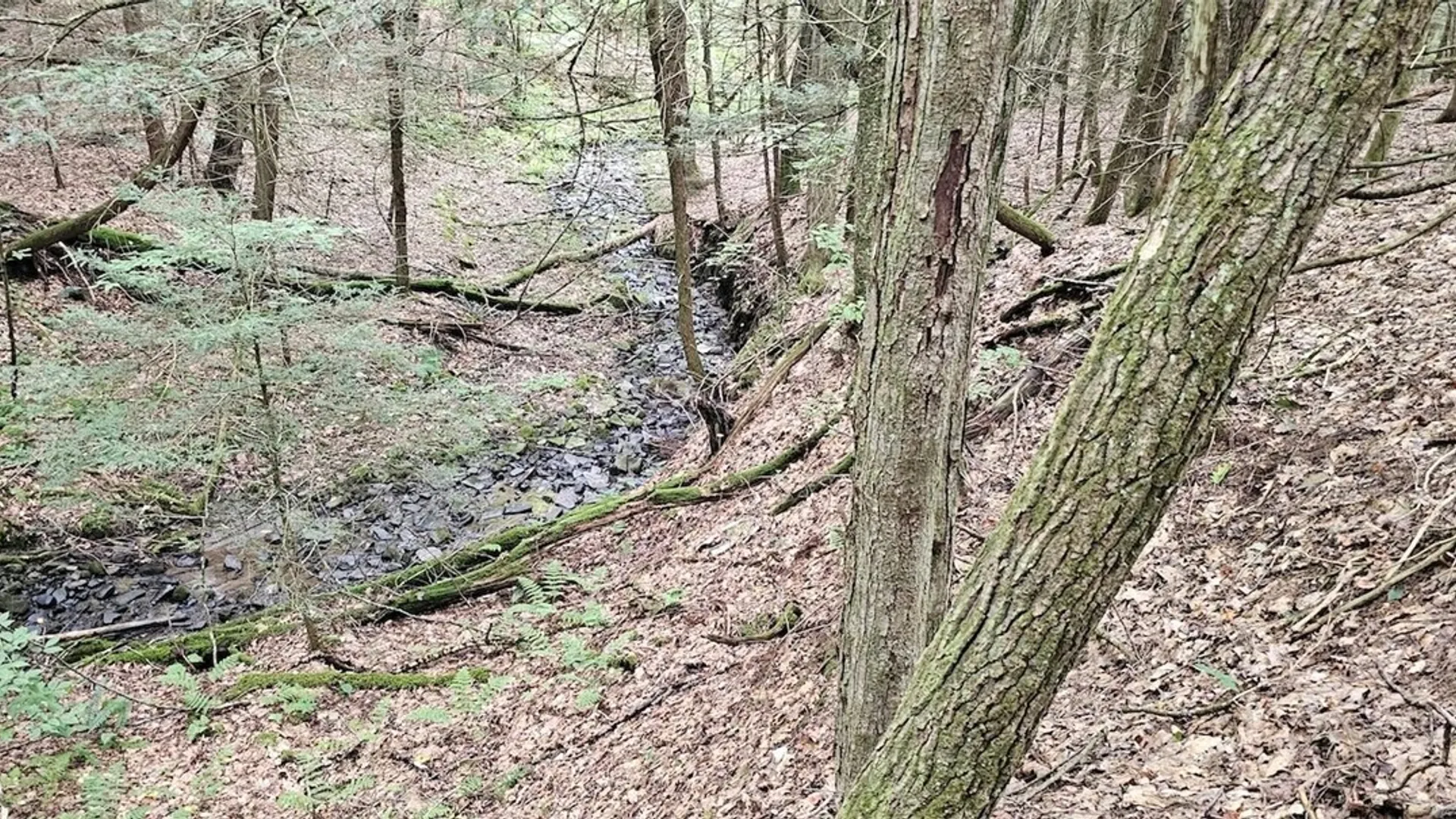 Property at Union Hill Road, Candor, NY 13743 6