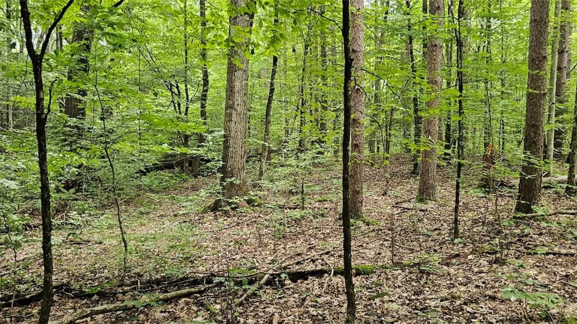 Property at Union Hill Road, Candor, NY 13743 21