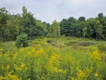 Property at 1569 Oakdale Road, Maine, NY 13790