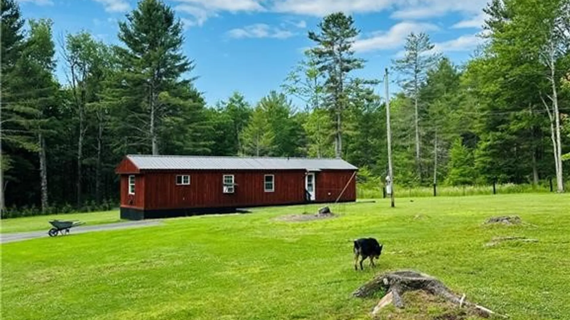 Property at 385 Lyon Road, Bainbridge, NY 13733 8