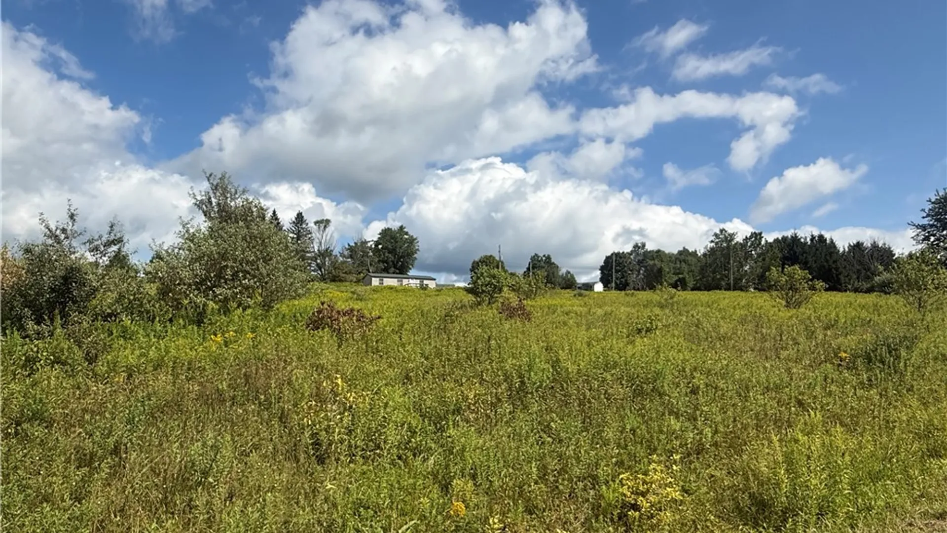 Property at 2755 Center Road, Freetown, NY 13101 40