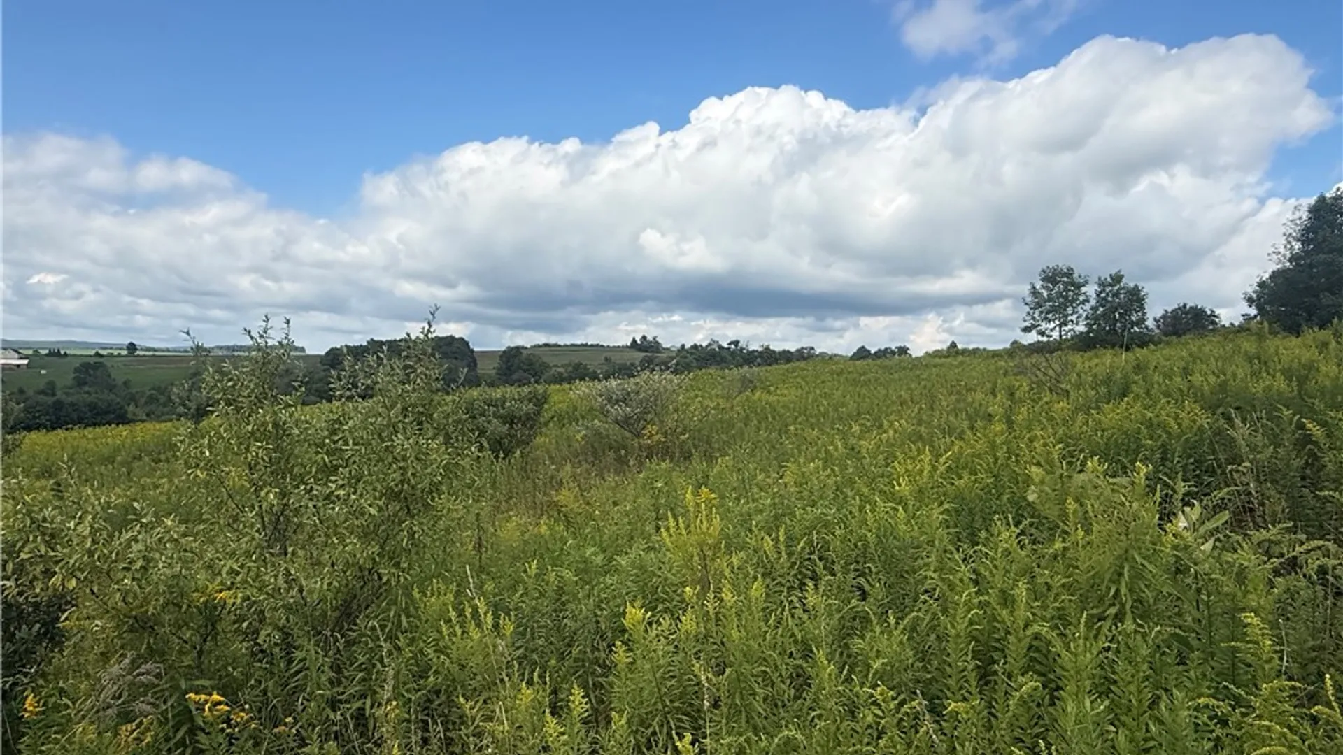 Property at 2755 Center Road, Freetown, NY 13101 35