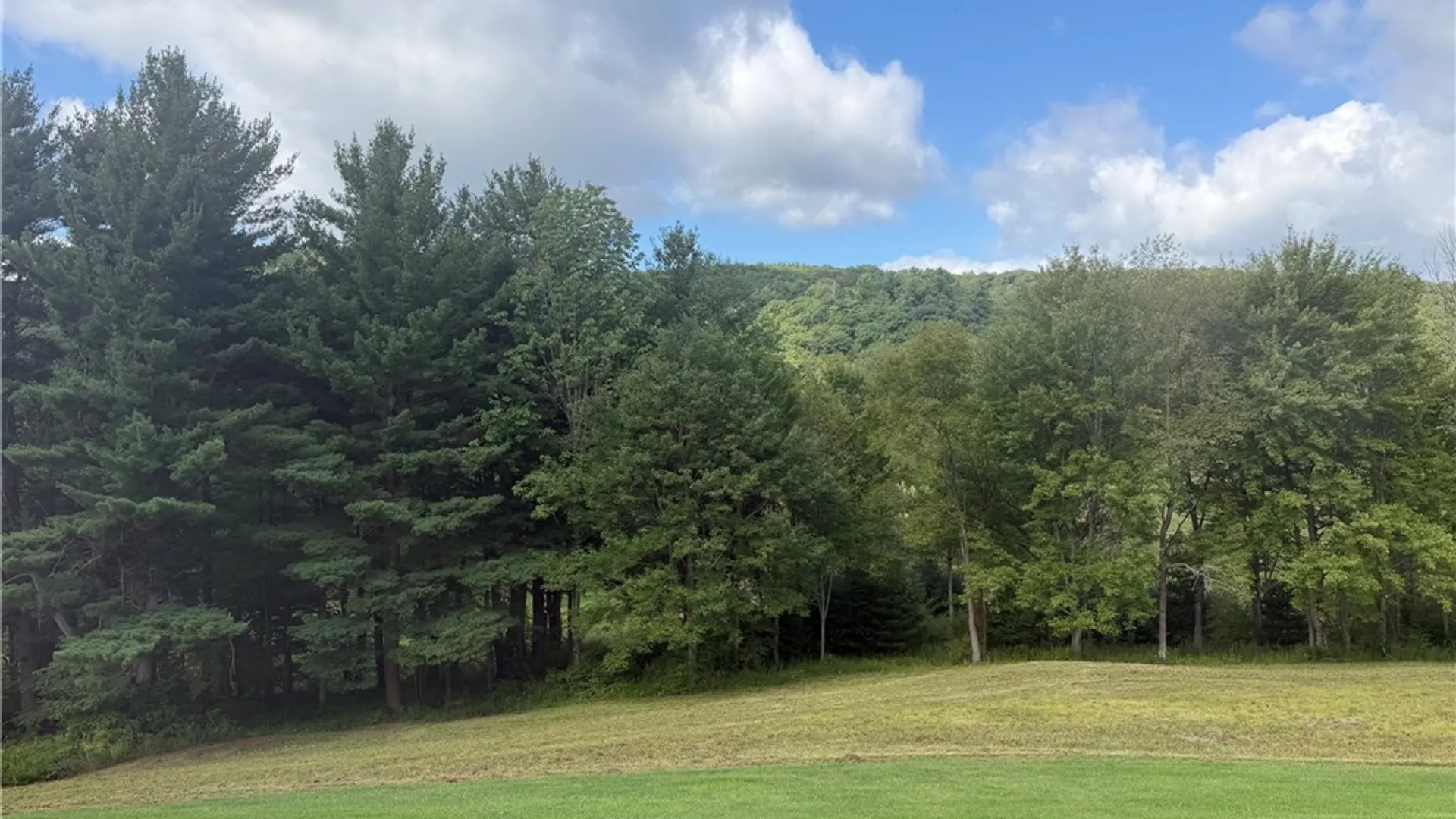 Property at 1381 Two Mile Road, Allegany, NY 14760 11