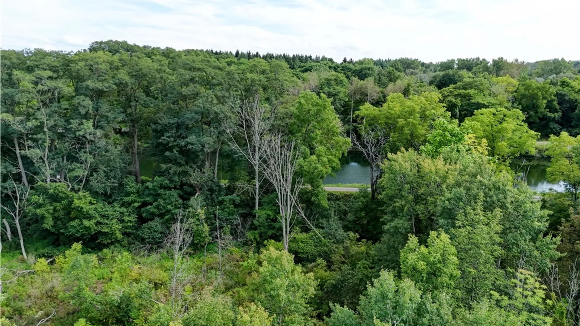 Property at 4275 Canal Road, Ogden, NY 14559 6