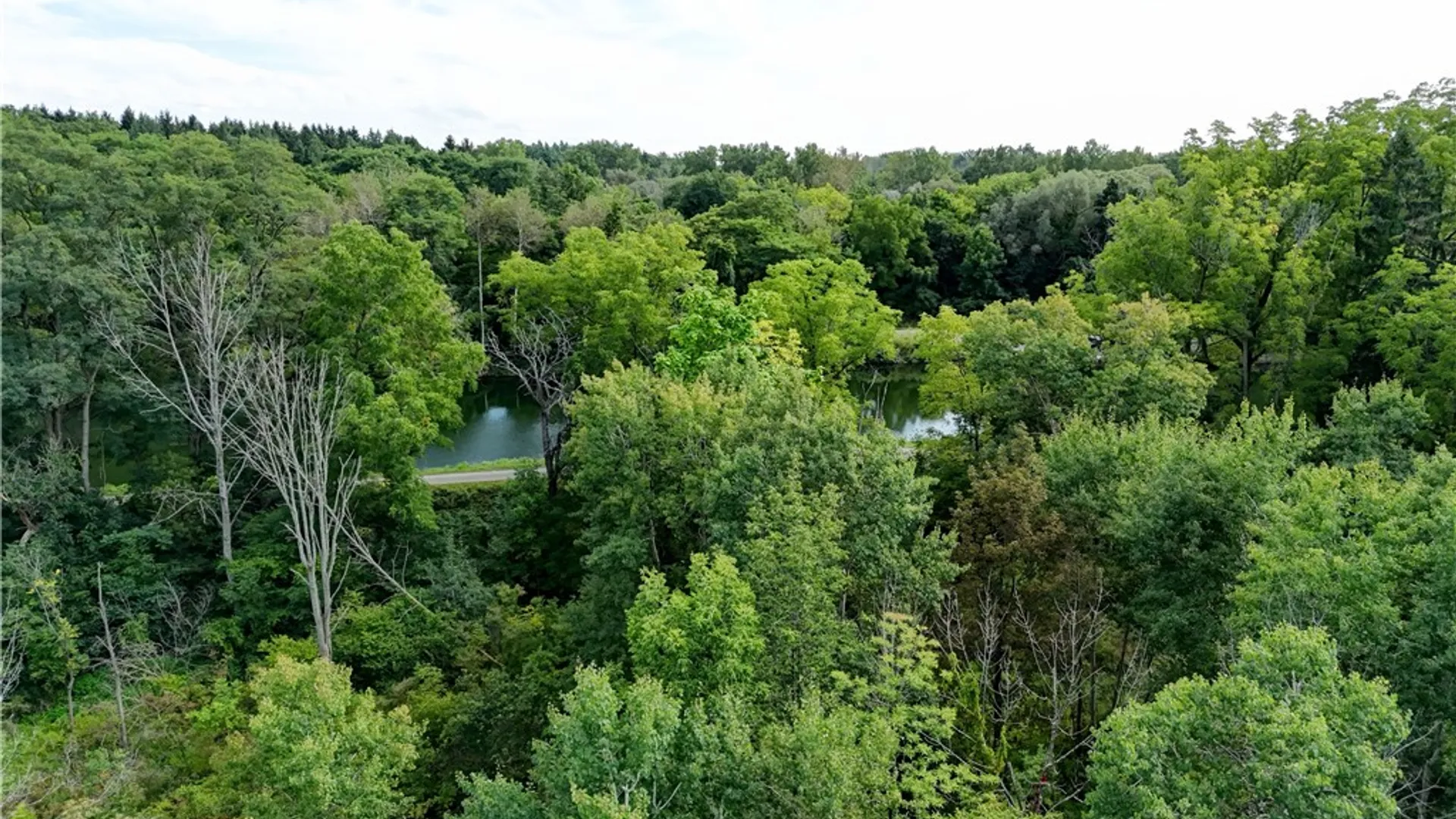Property at 4275 Canal Road, Ogden, NY 14559 7