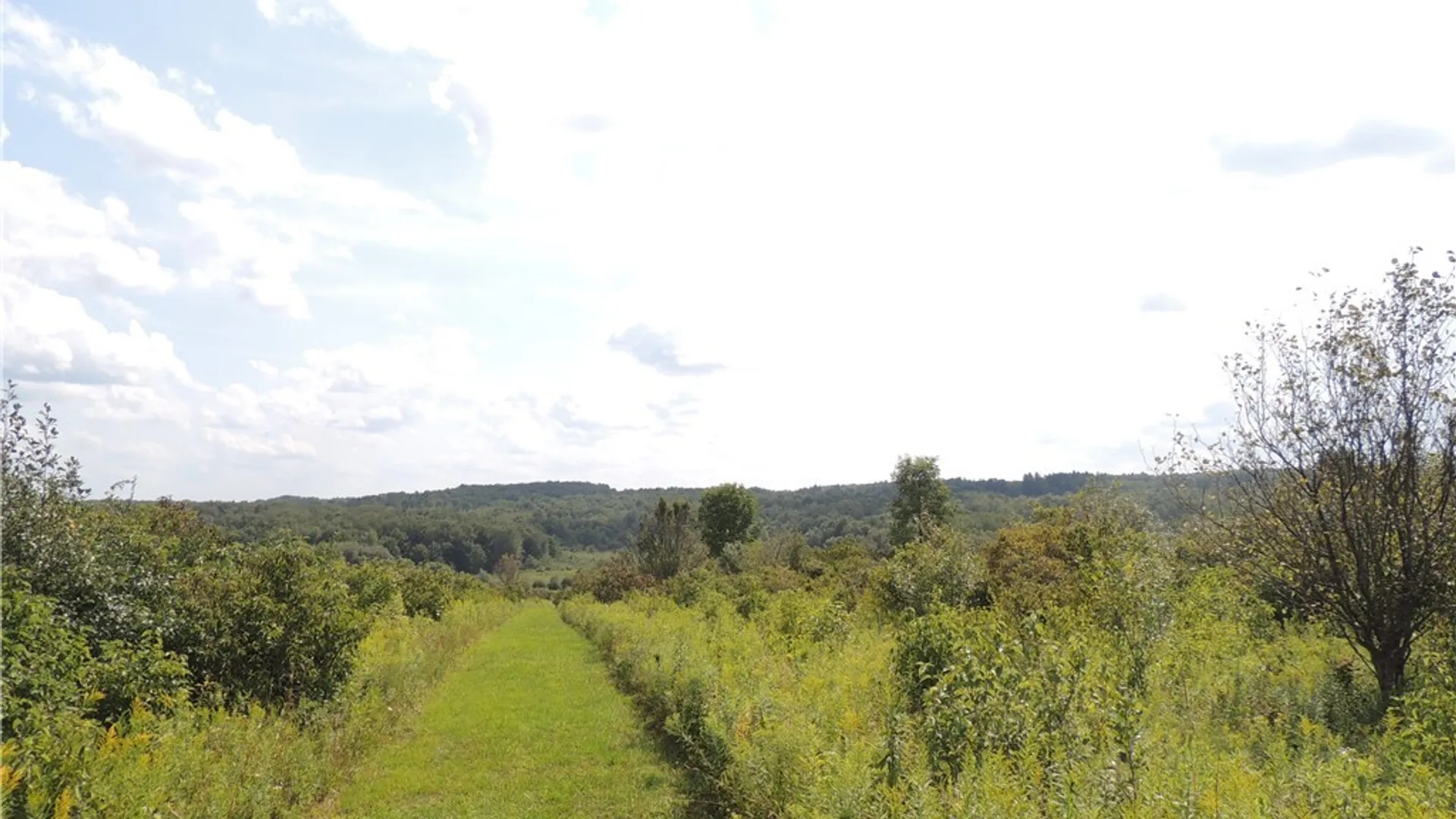 Property at Mead Road, Busti, NY 14750 3