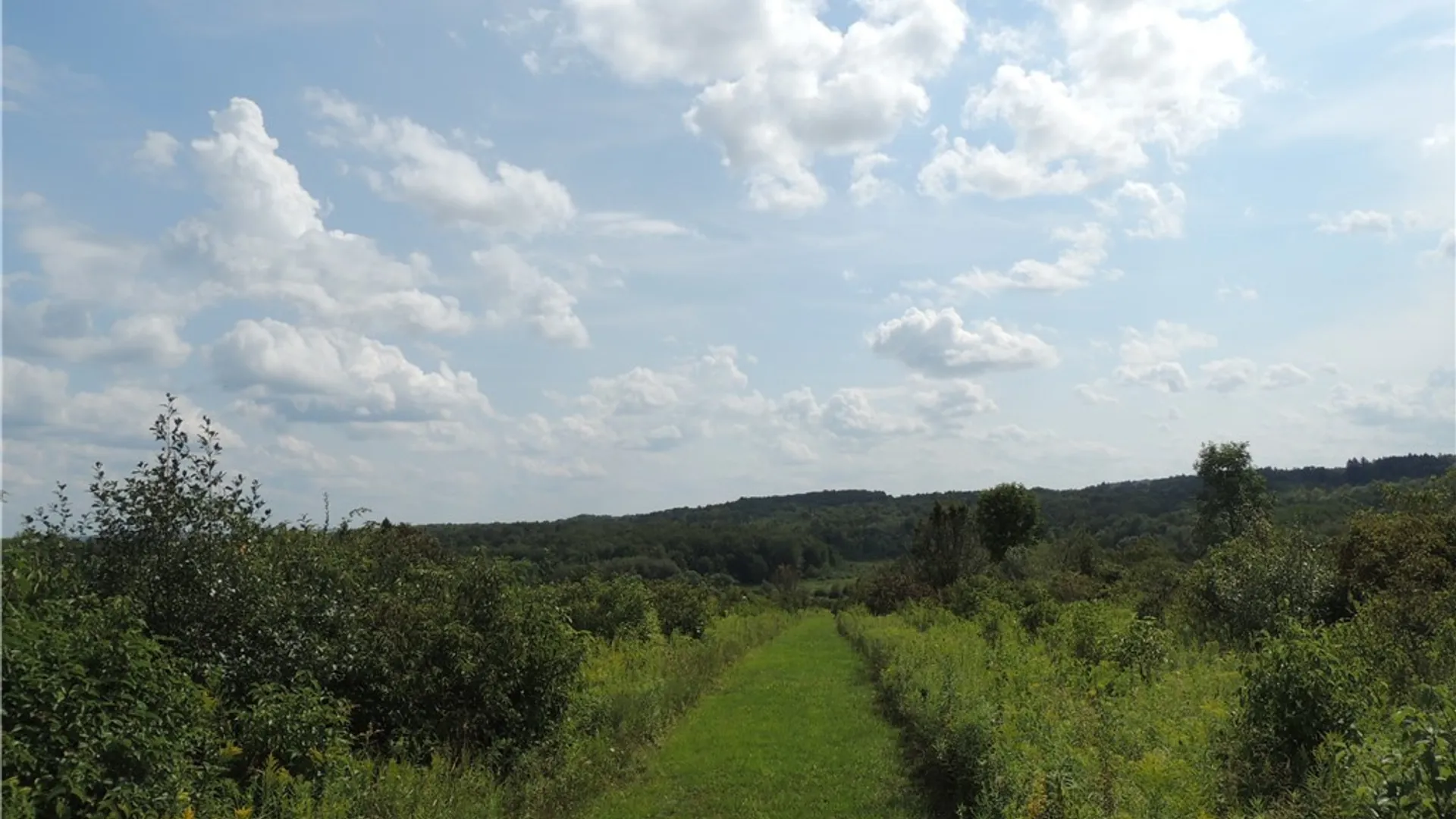 Property at Mead Road, Busti, NY 14750 4