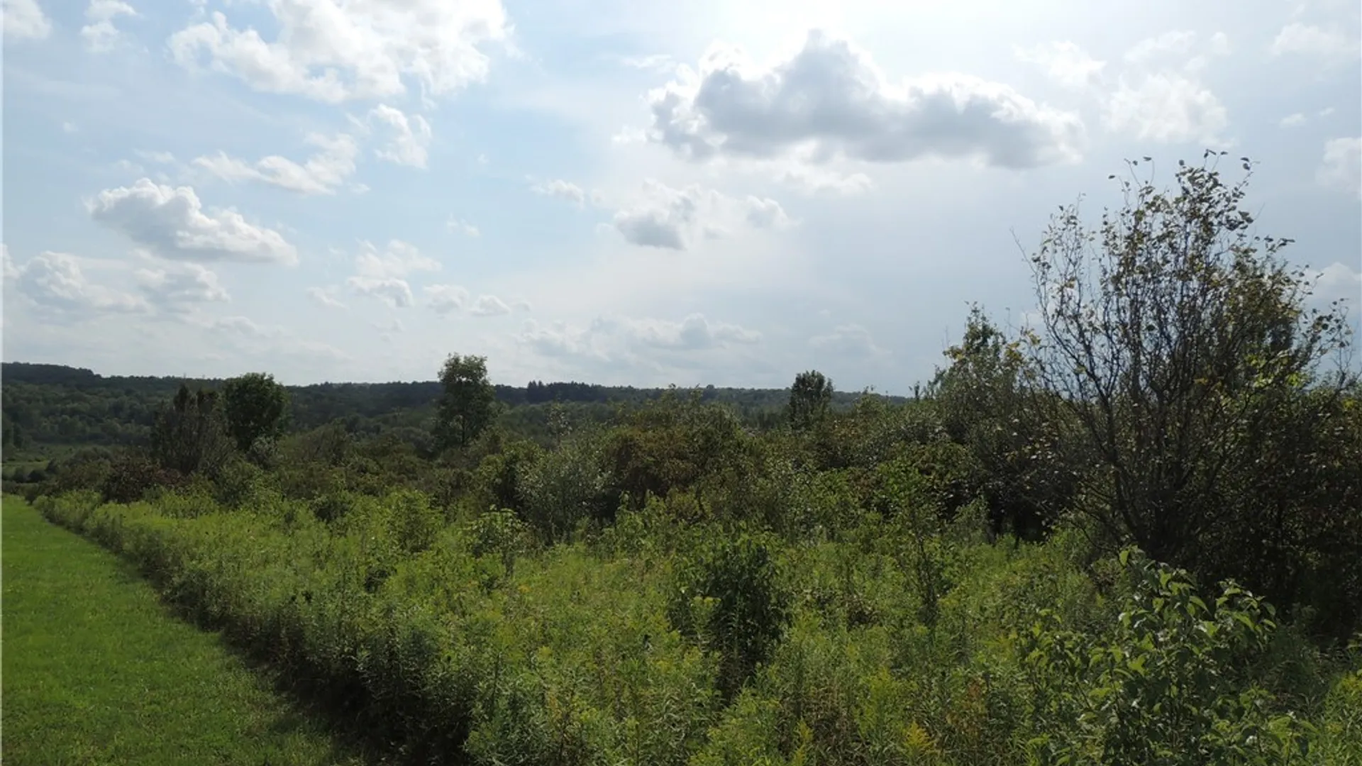 Property at Mead Road, Busti, NY 14750 5