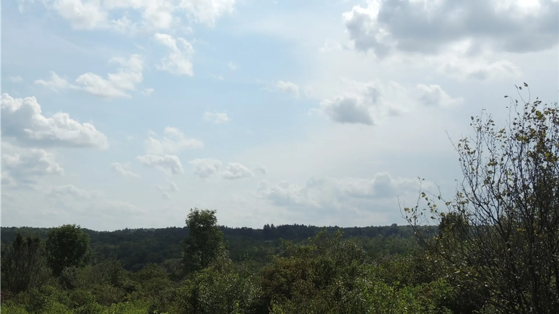 Property at Mead Road, Busti, NY 14750 6
