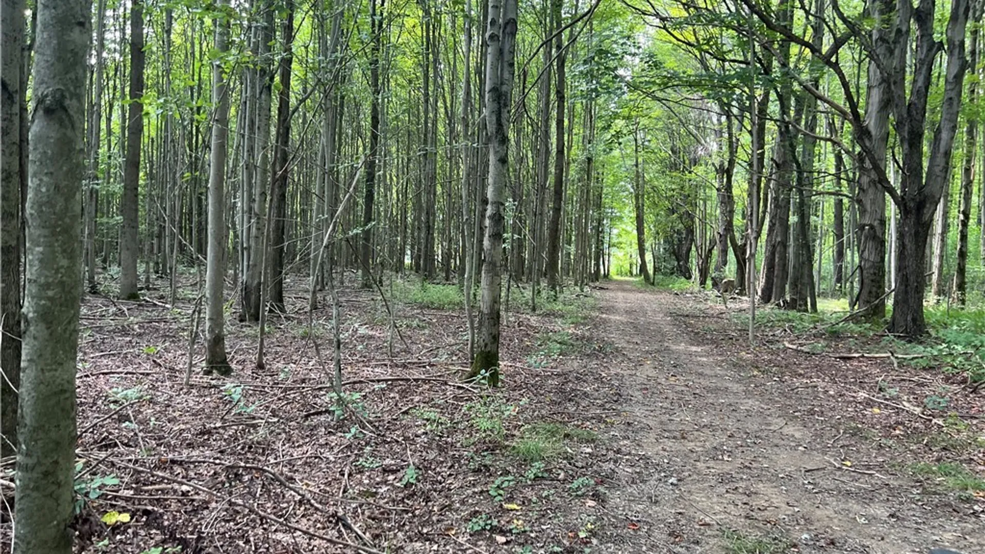 Property at Mead Road, Busti, NY 14750 9