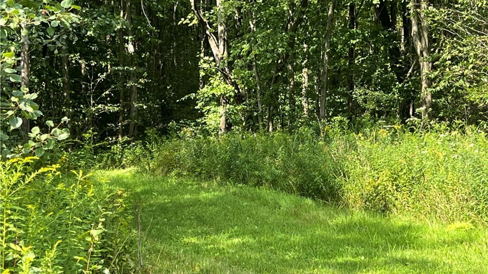 Property at Mead Road, Busti, NY 14750 14