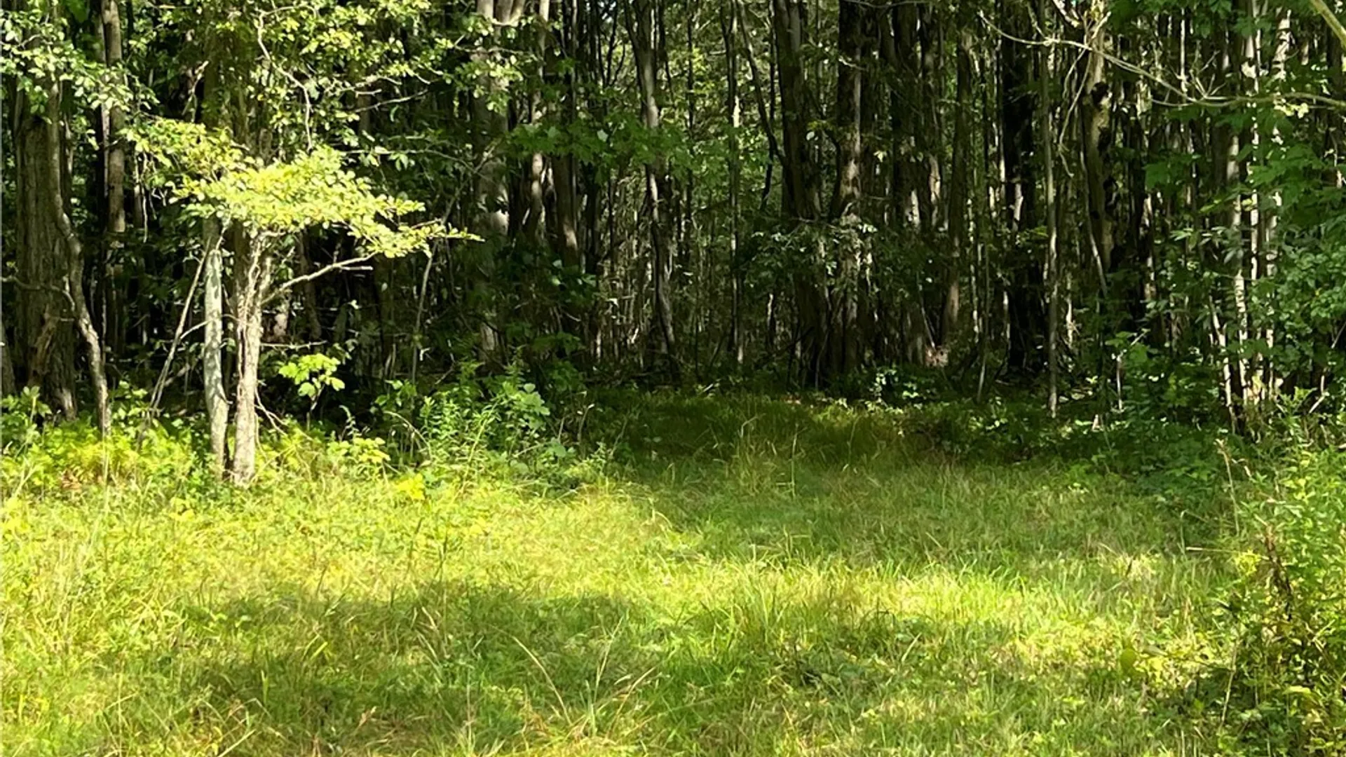 Property at Mead Road, Busti, NY 14750 15