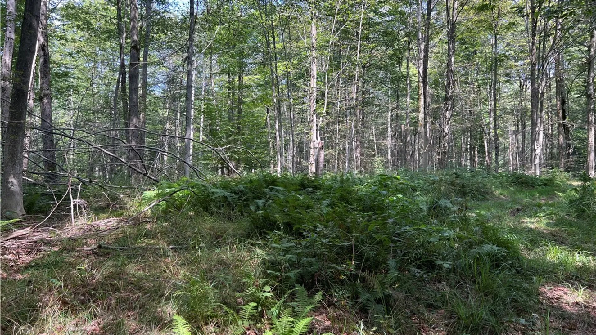 Property at Mead Road, Busti, NY 14750 17