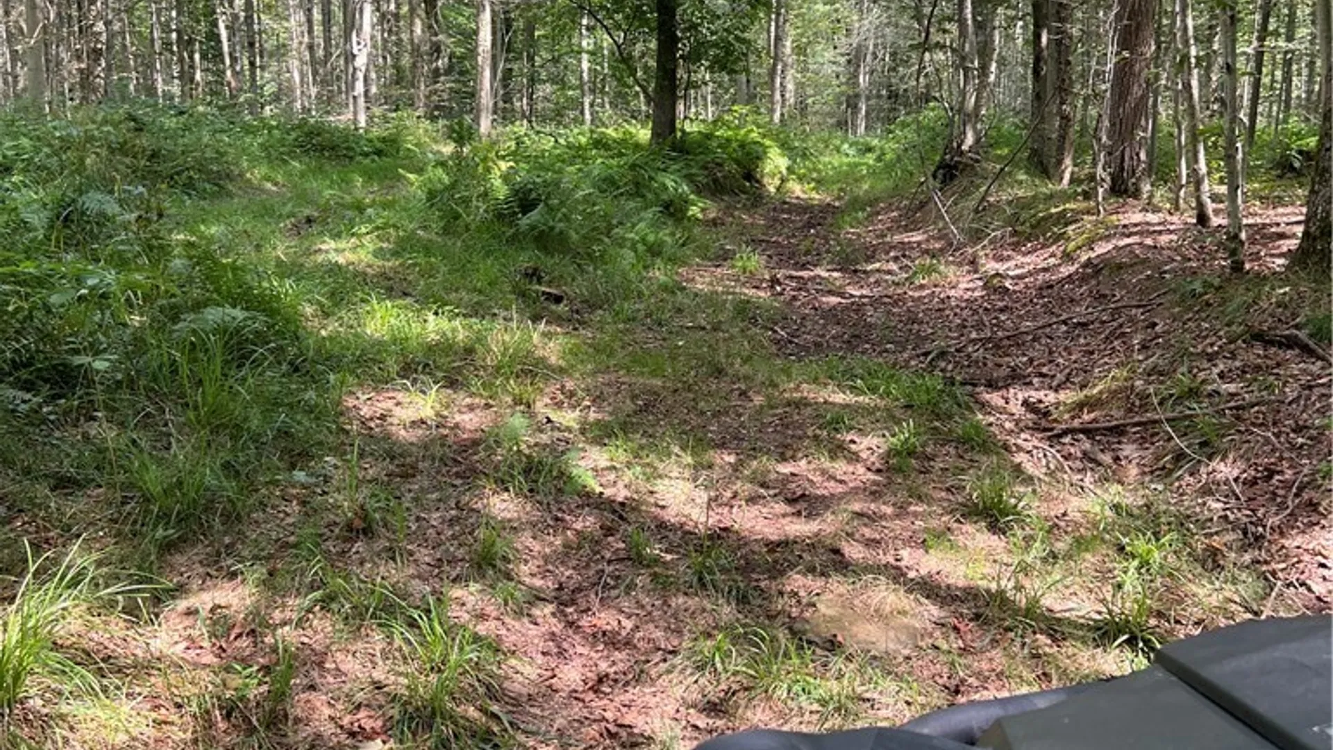Property at Mead Road, Busti, NY 14750 19