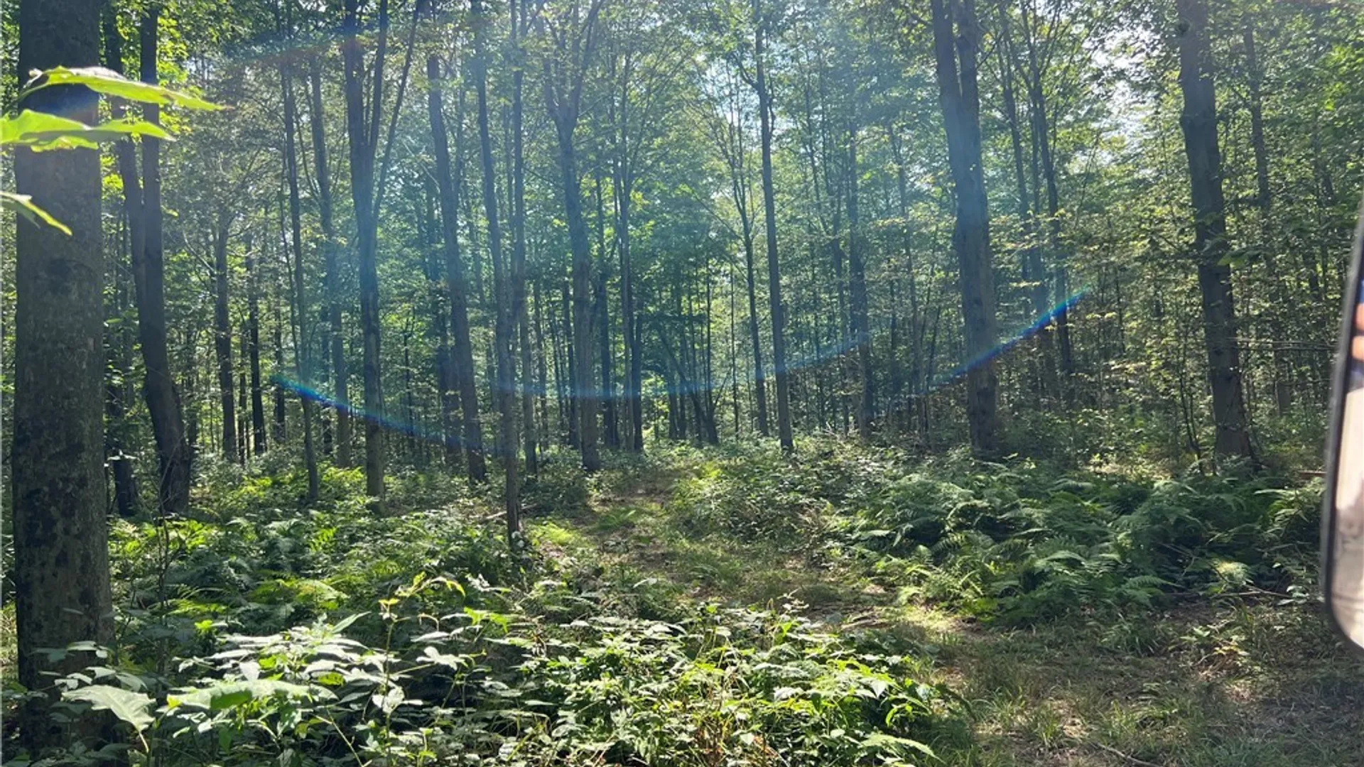 Property at Mead Road, Busti, NY 14750 23
