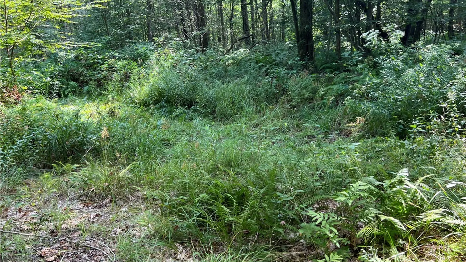 Property at Mead Road, Busti, NY 14750 25