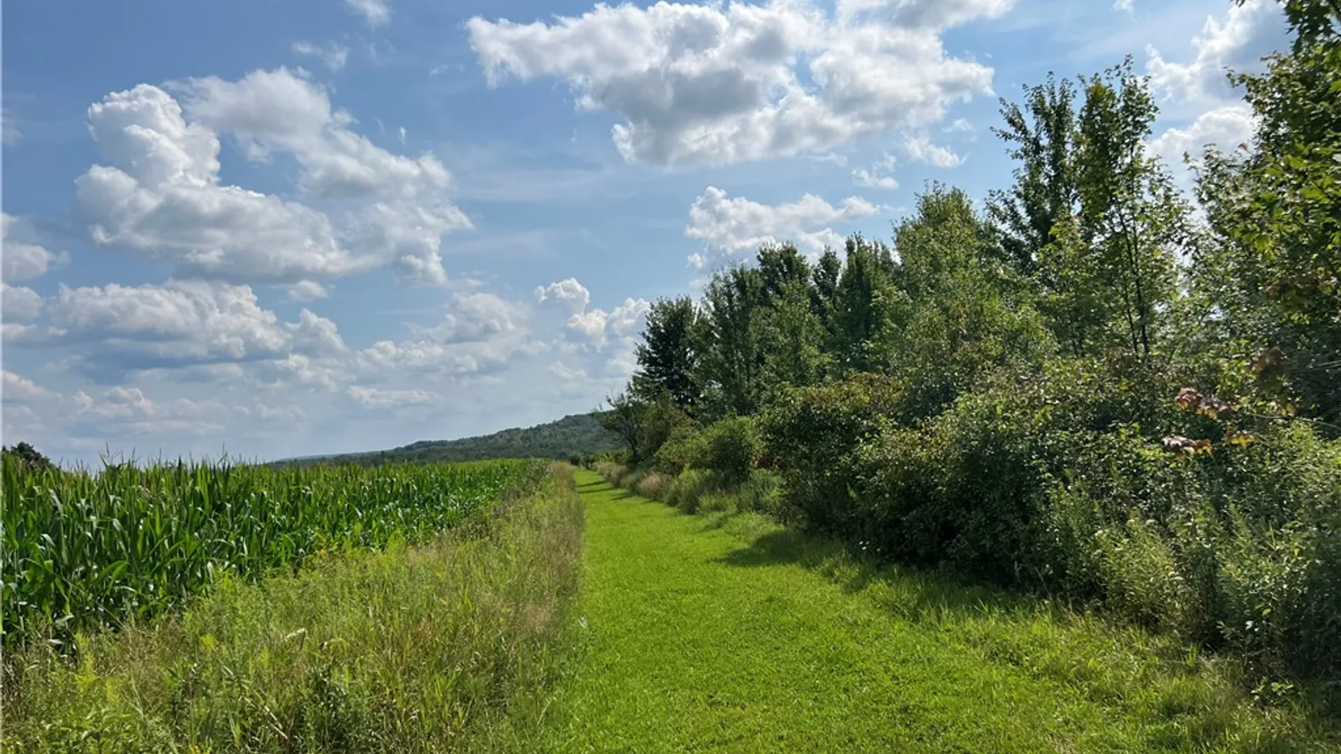 Property at Mead Road, Busti, NY 14750 29