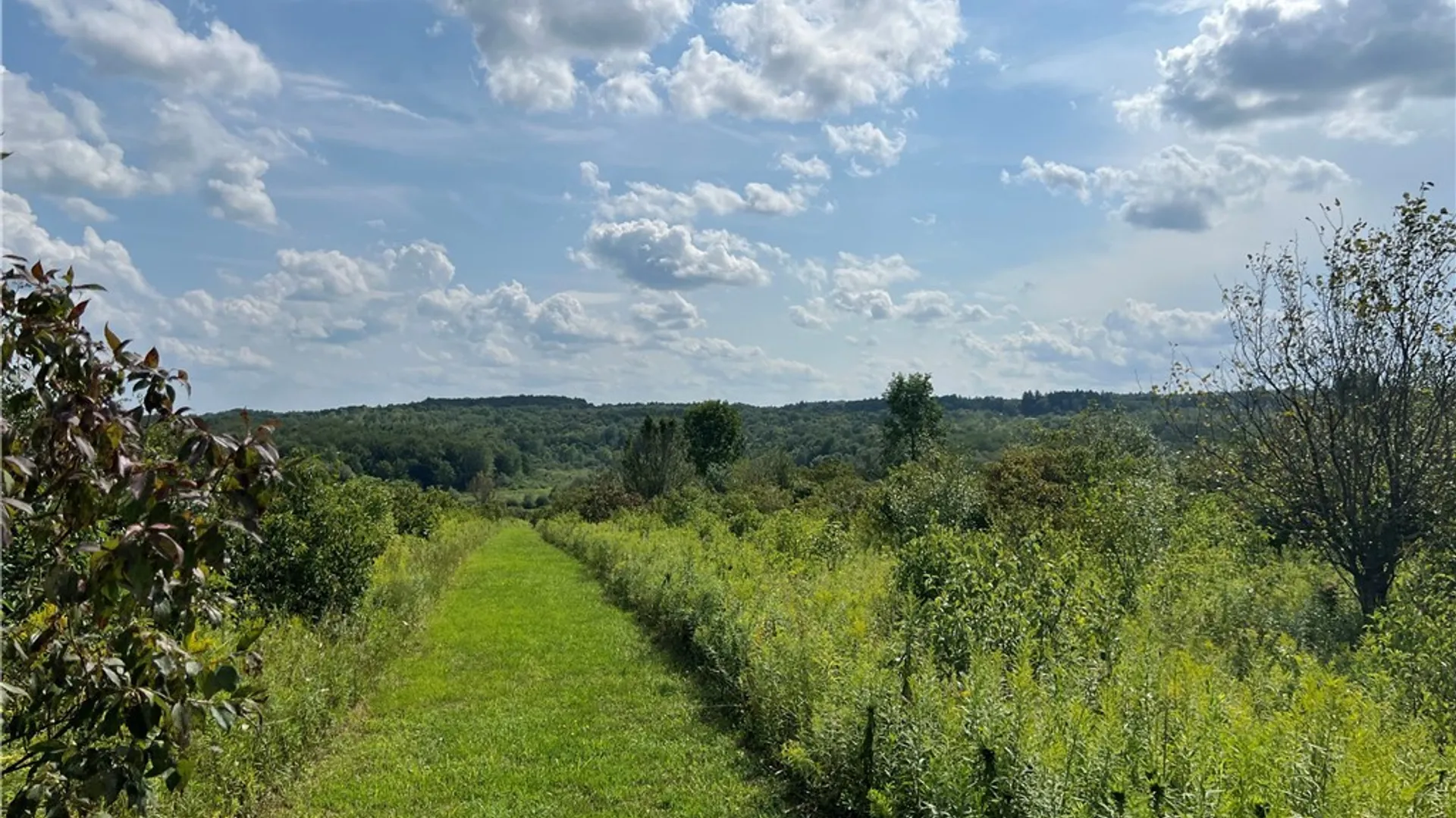 Property at Mead Road, Busti, NY 14750 30