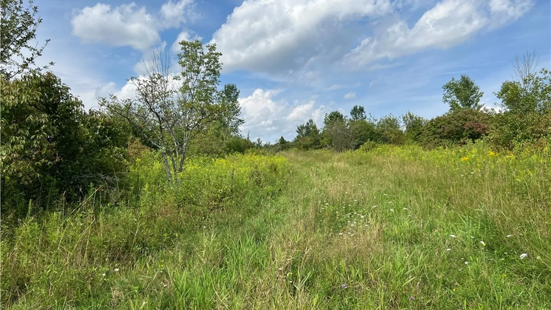 Property at Mead Road, Busti, NY 14750 32